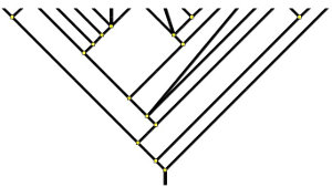 arbre d'évolution