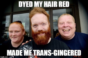 Dyed my hair red : made me trans-gingered